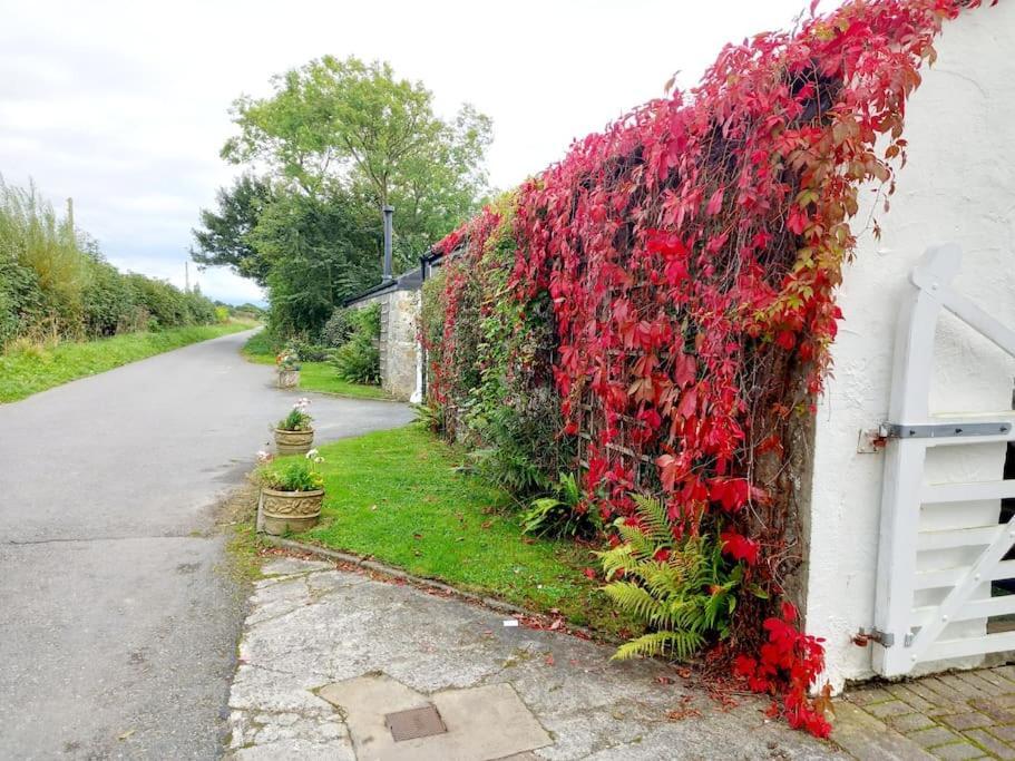 Rhos Y Bel Cottage Angelsey Llangadwaladr  Екстер'єр фото