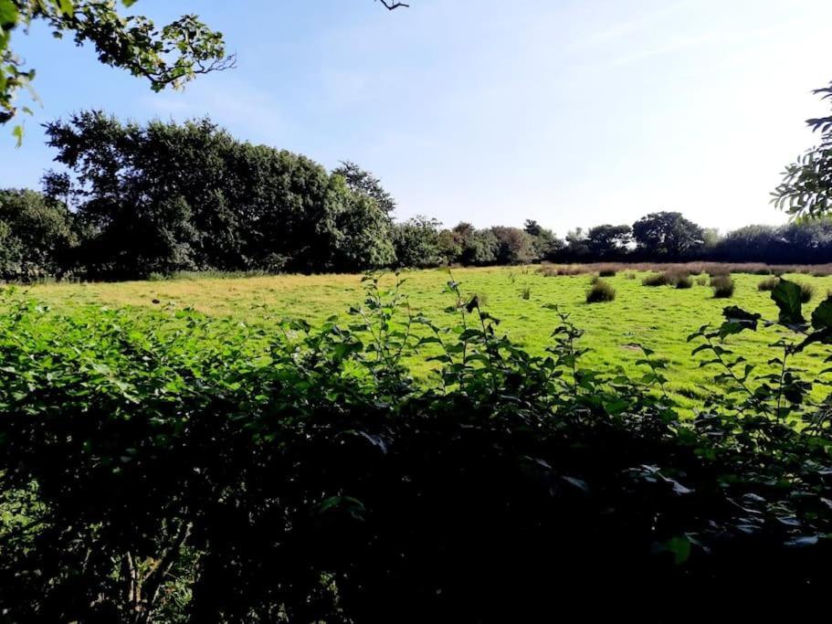 Rhos Y Bel Cottage Angelsey Llangadwaladr  Екстер'єр фото