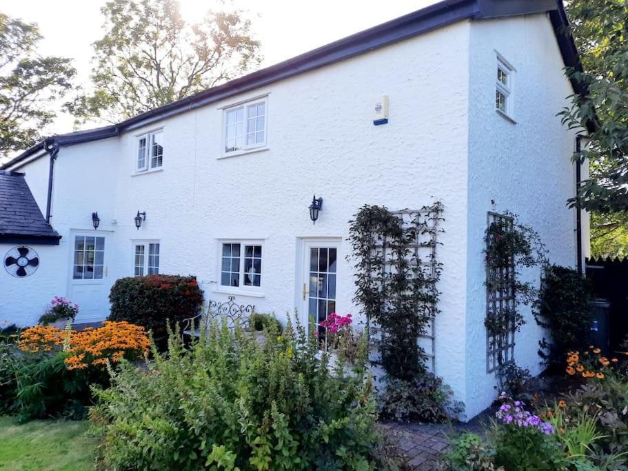 Rhos Y Bel Cottage Angelsey Llangadwaladr  Екстер'єр фото